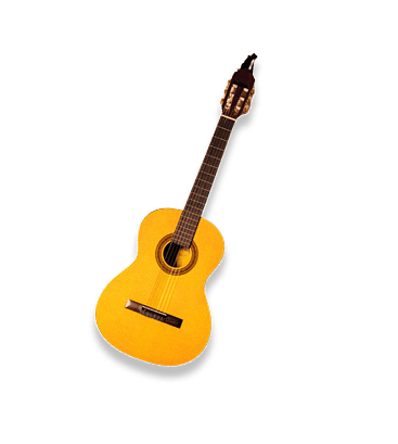 Acoustic guitar